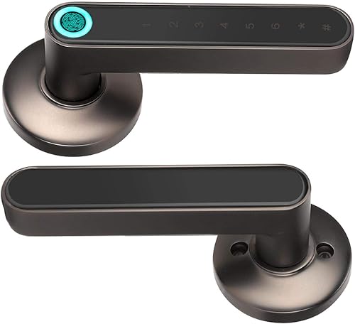 Smart Keyless Deurslot Biometrische vingerafdruk Deurklinkvergrendeling Home Security Lock Bluetooth APP Wachtwoord ontgrendelen(Zwart)